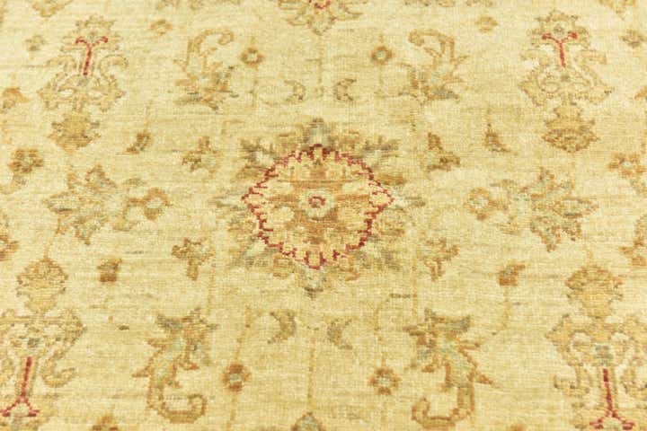 3' 3 x 4' 11 Hand Knotted Peshawar Ziegler Rug