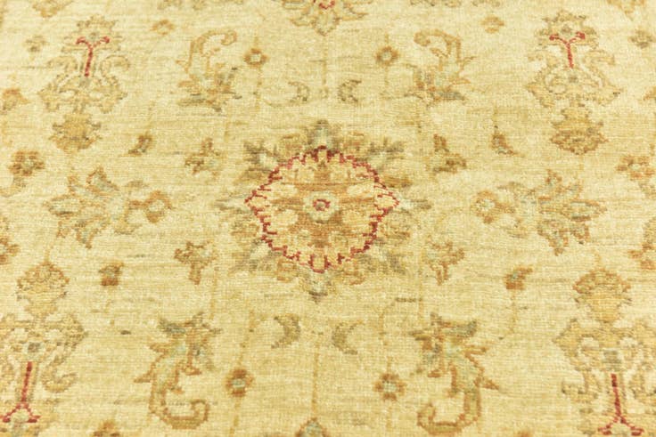 Detail image of 3' 3 x 4' 11 Hand Knotted Peshawar Ziegler Rug