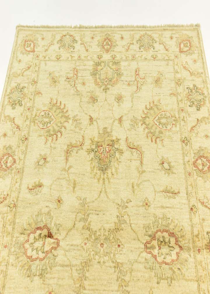 3' 4 x 5' Hand Knotted Peshawar Ziegler Rug