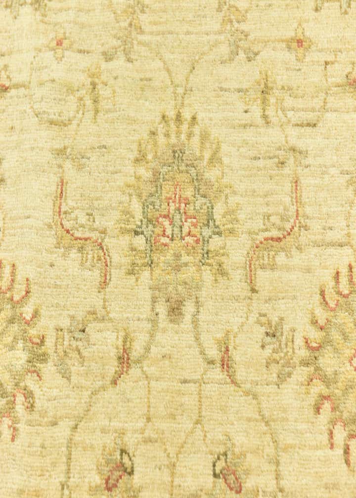 3' 4 x 5' Hand Knotted Peshawar Ziegler Rug