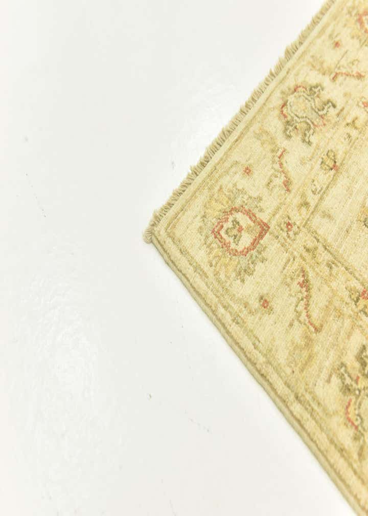 3' 4 x 5' Hand Knotted Peshawar Ziegler Rug
