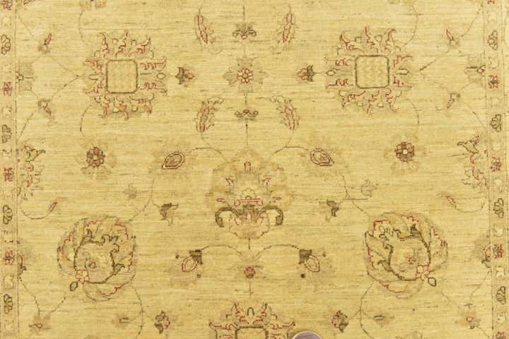 5' 6 x 8' Hand Knotted Peshawar Ziegler Rug