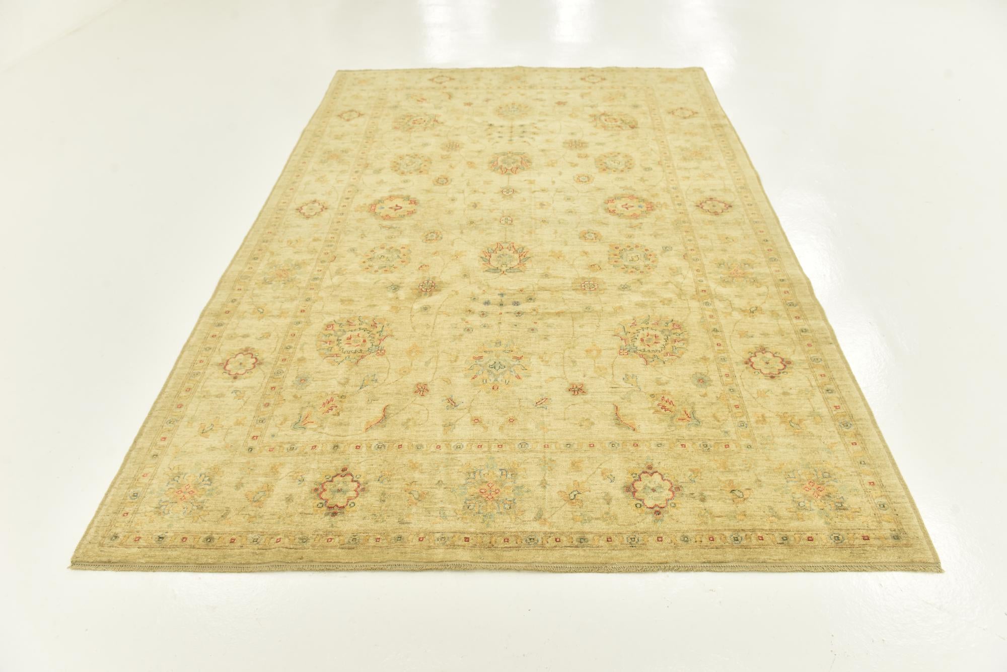 6' 4 x 9' 7 Hand Knotted Peshawar Ziegler Rug