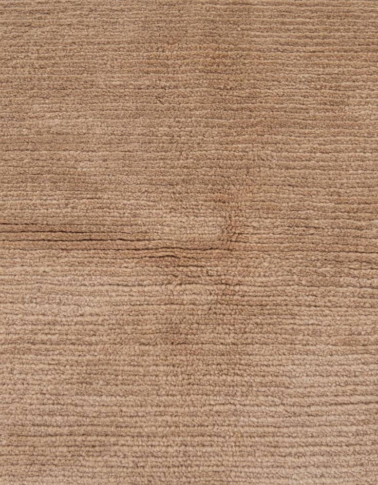 Detail image of 8' 3 x 11' 5  Hand Knotted Tibet Wool Rug