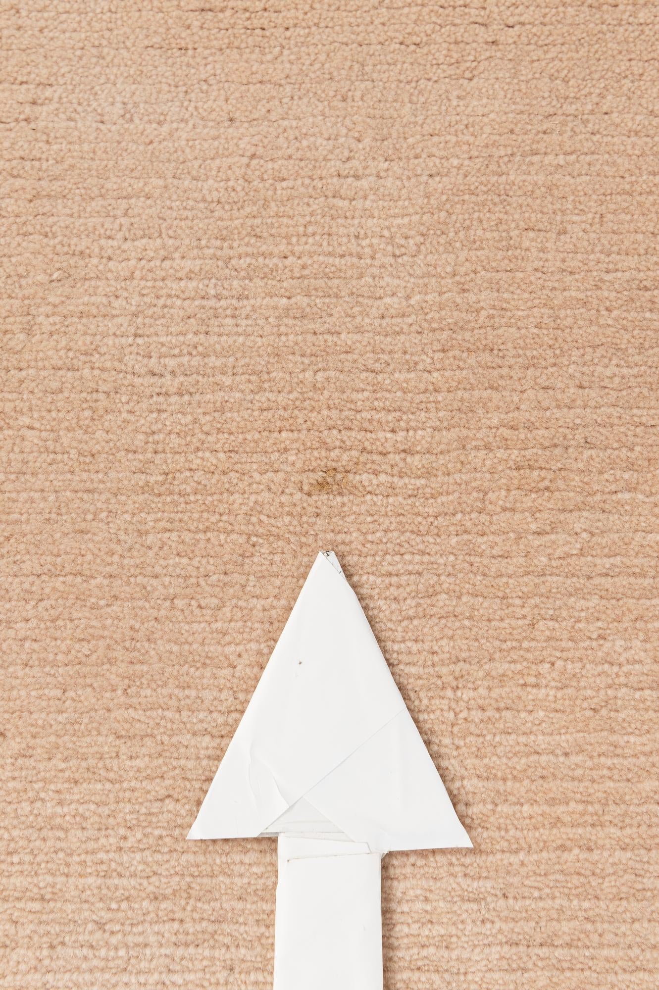 9' 10 x 13' 2 Hand Knotted Tibet Wool Rug