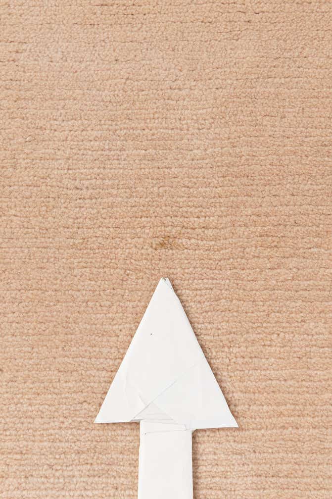 9' 10 x 13' 2 Hand Knotted Tibet Wool Rug
