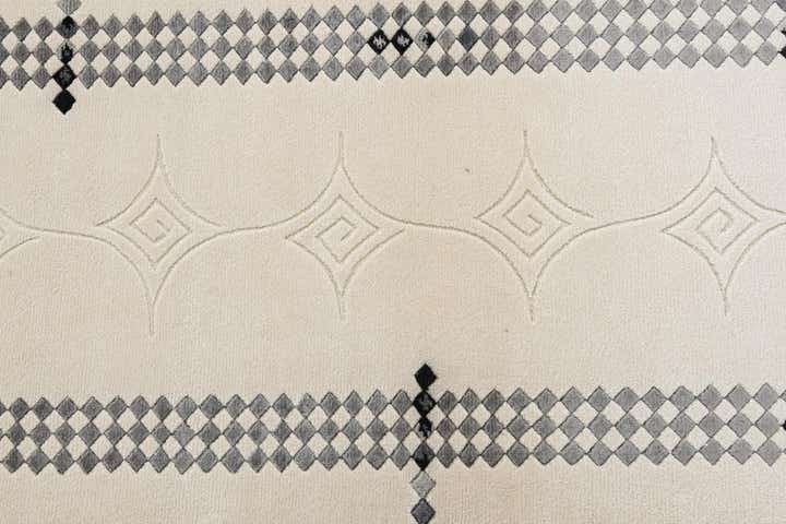 2' 7 x 9' 11 Hand Knotted Darya Wool Runner Rug