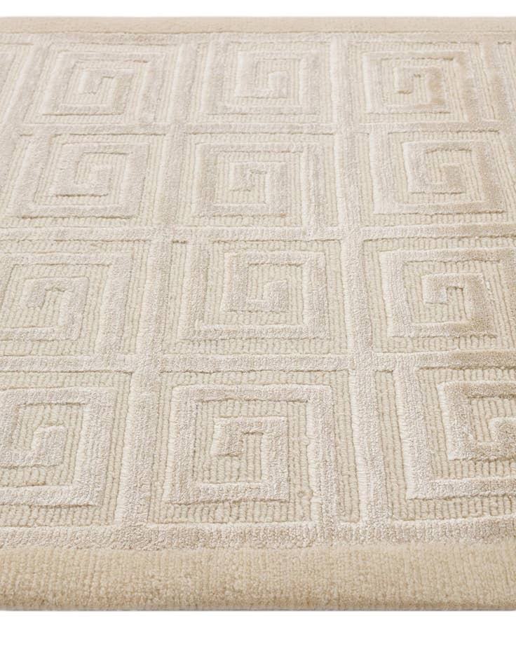 Detail image of 2' 10 x 9' 10  Hand Knotted Darya Wool Runner Rug