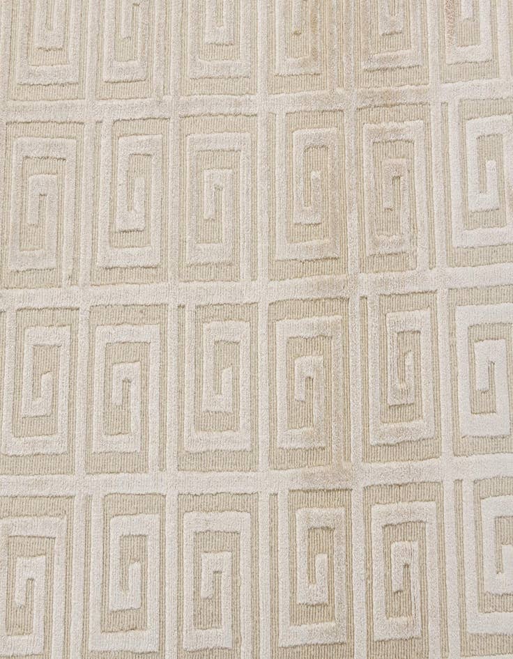 Detail image of 2' 10 x 9' 10  Hand Knotted Darya Wool Runner Rug