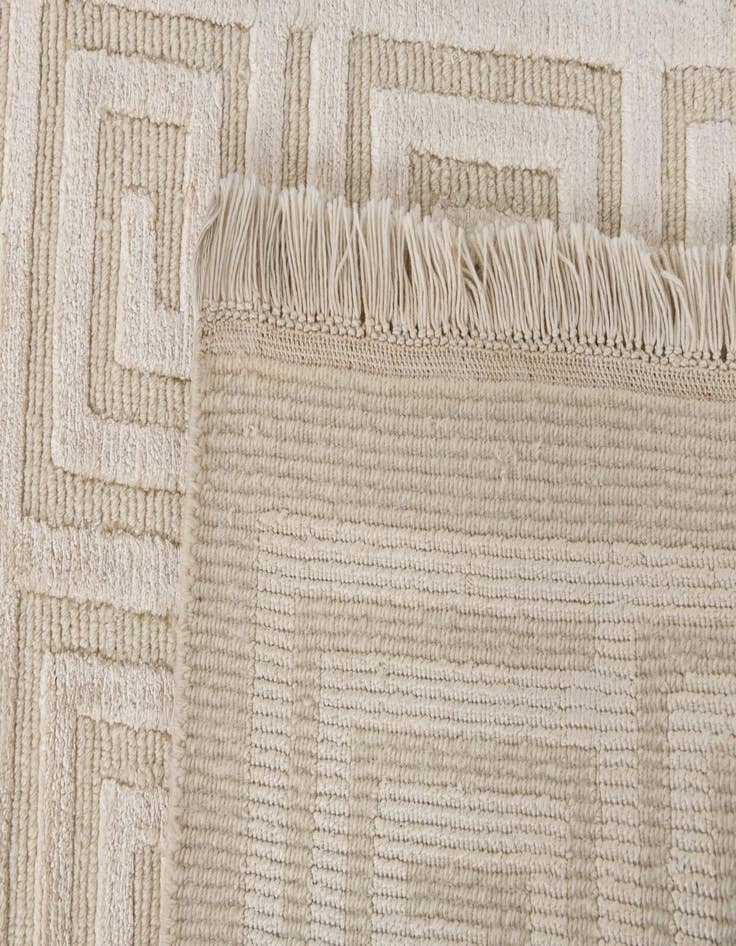 Detail image of 2' 10 x 9' 10  Hand Knotted Darya Wool Runner Rug