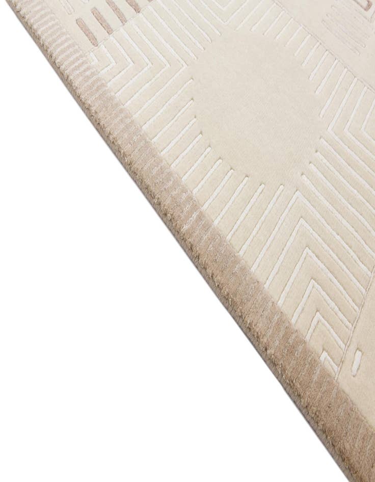 Detail image of 2' 7 x 9' 9  Hand Knotted Darya Wool Runner Rug