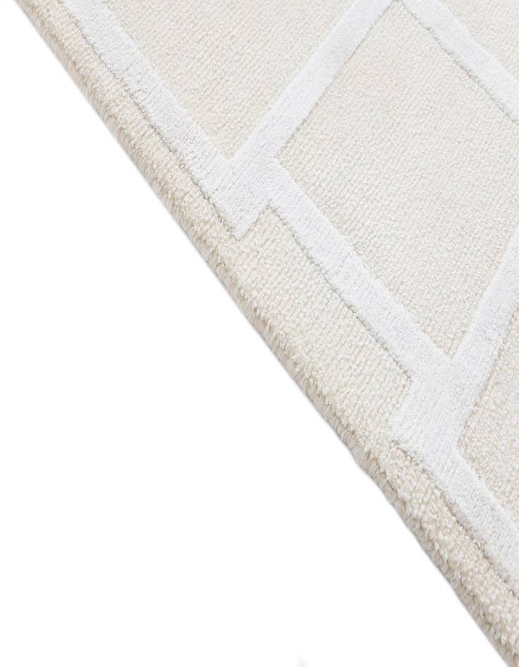 Detail image of 2' 9 x 9' 11  Hand Knotted Darya Wool Runner Rug