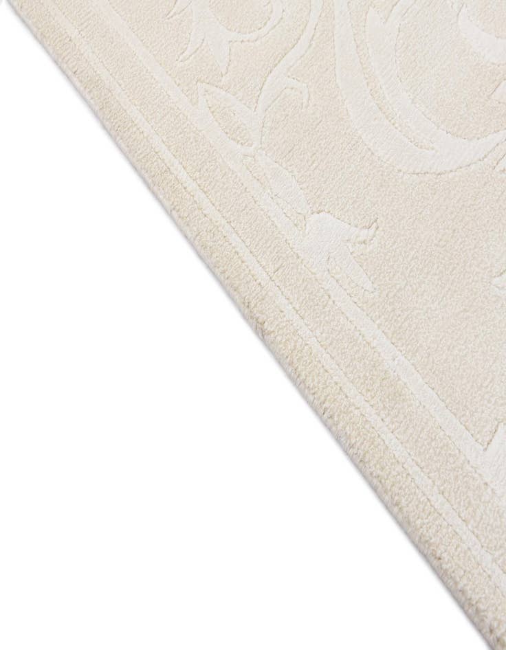 Detail image of 2' 7 x 13' 1  Hand Knotted Darya Wool Runner Rug