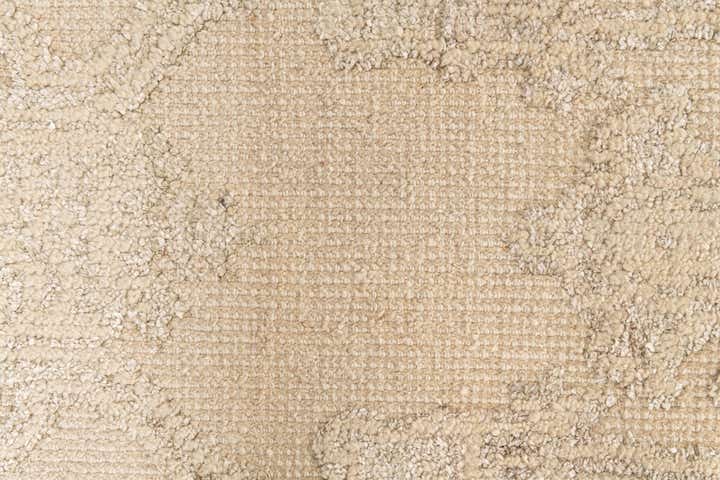 2' 8 x 8' 8 Hand Knotted Darya Runner Rug