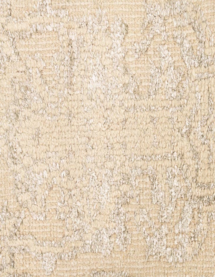 Detail image of 2' 7 x 8' 9  Hand Knotted Darya Runner Rug