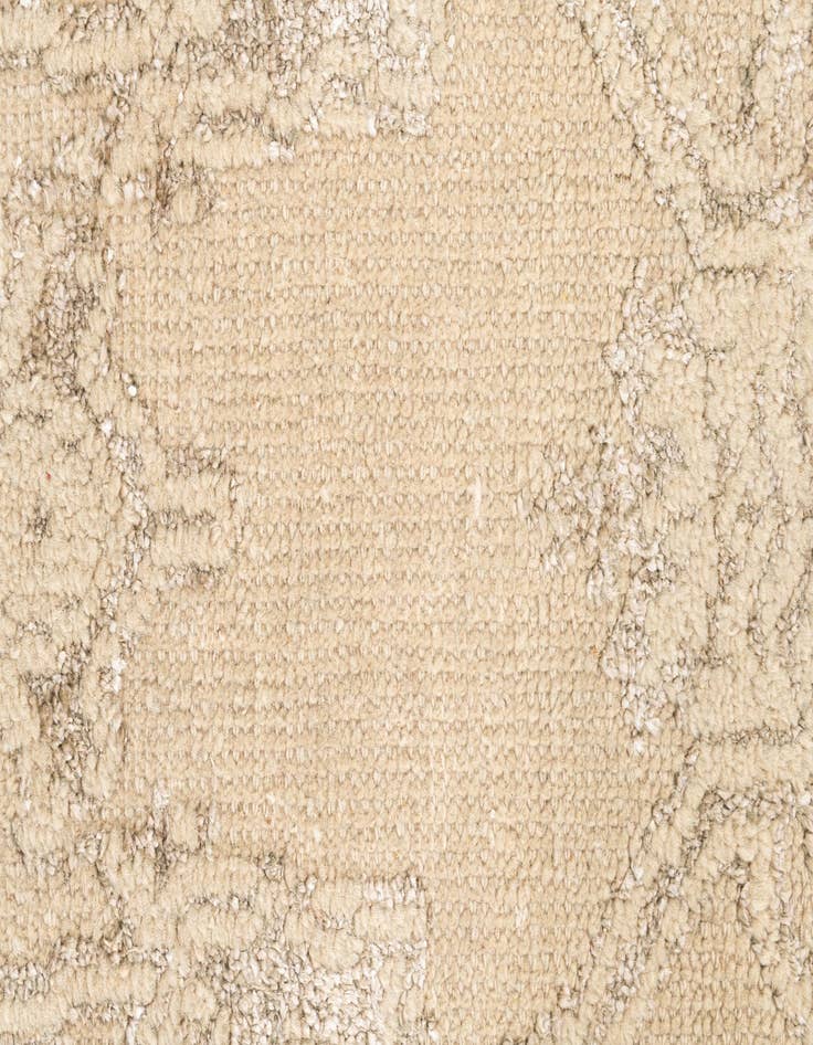 Detail image of 2' 7 x 8' 9  Hand Knotted Darya Runner Rug