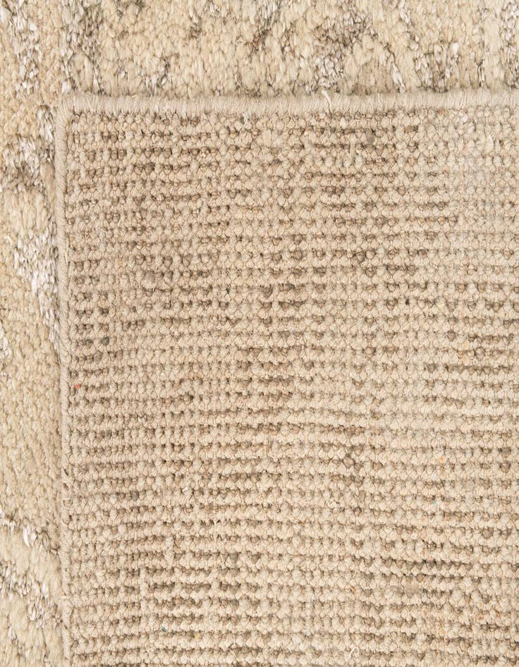Detail image of 2' 7 x 8' 9  Hand Knotted Darya Runner Rug