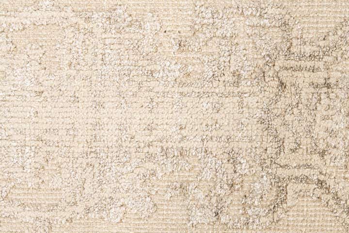 2' 10 x 8' 9 Hand Knotted Darya Runner Rug