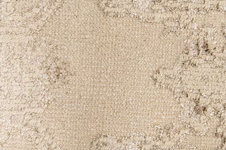 2' 10 x 8' 9 Hand Knotted Darya Runner Rug
