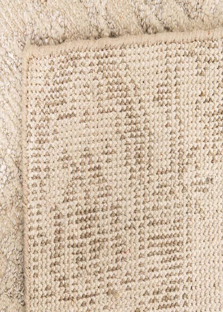 2' 10 x 8' 9 Hand Knotted Darya Runner Rug