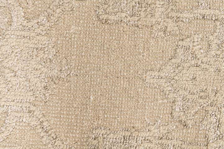 2' 9 x 8' 8 Hand Knotted Darya Runner Rug