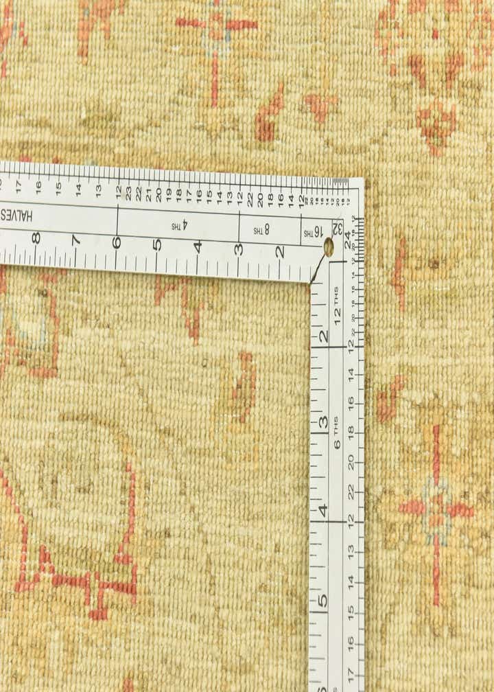 2' 5 x 6' 6 Hand Knotted Peshawar Ziegler Runner Rug