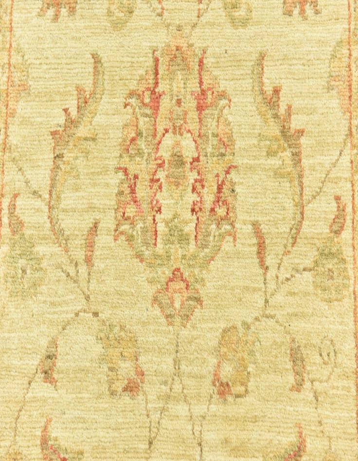 Detail image of 2' 7 x 6' 6  Hand Knotted Peshawar Ziegler Runner Rug