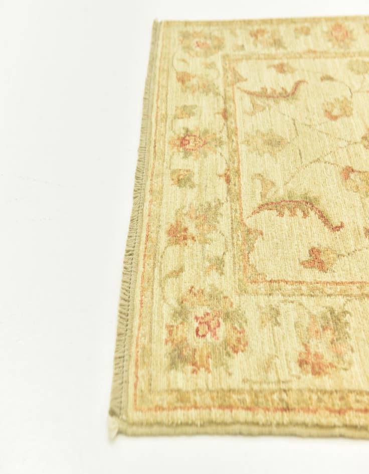 Detail image of 2' 7 x 6' 6  Hand Knotted Peshawar Ziegler Runner Rug