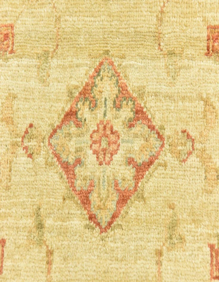 Detail image of 2' 6 x 6' 9  Hand Knotted Peshawar Ziegler Runner Rug
