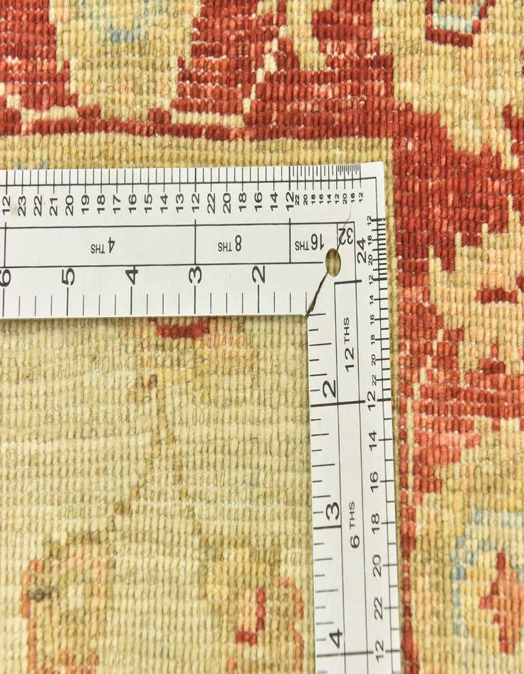 Detail image of 2' 6 x 6' 7  Hand Knotted Peshawar Ziegler Runner Rug