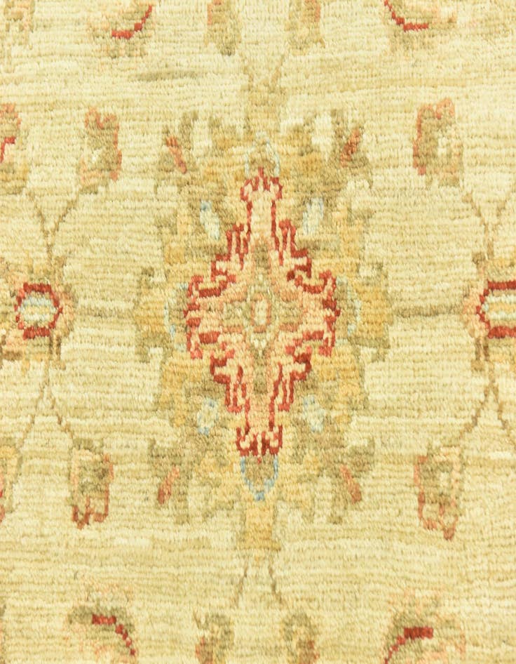 Detail image of 2' 6 x 6' 7  Hand Knotted Peshawar Ziegler Runner Rug