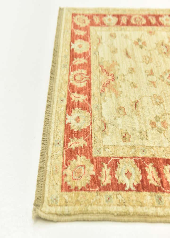 2' 6 x 6' 7 Hand Knotted Peshawar Ziegler Runner Rug