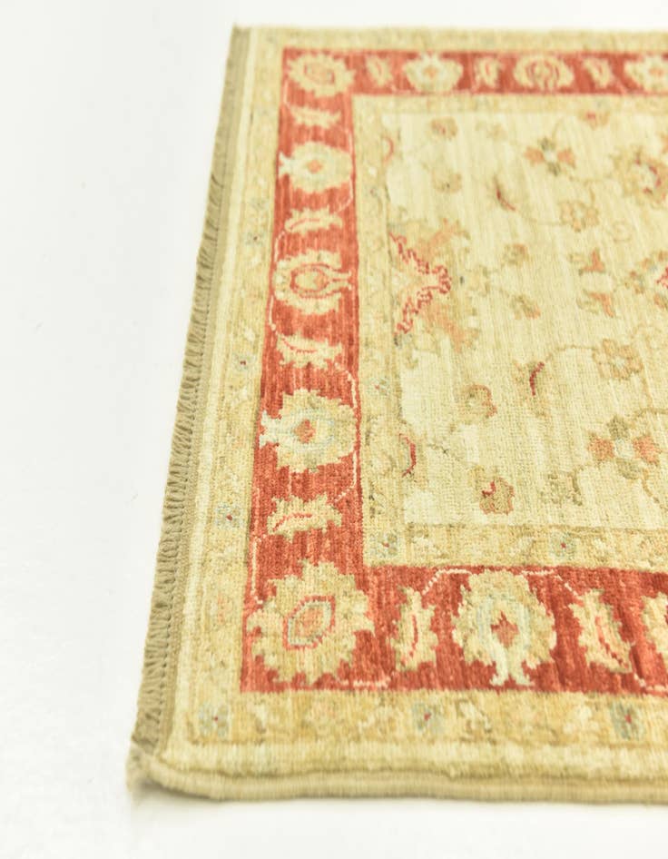 Detail image of 2' 6 x 6' 7  Hand Knotted Peshawar Ziegler Runner Rug