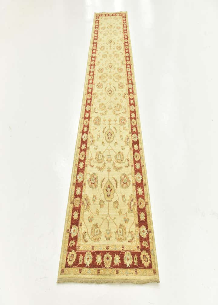2' 9 x 11' 1 Hand Knotted Peshawar Ziegler Runner Rug