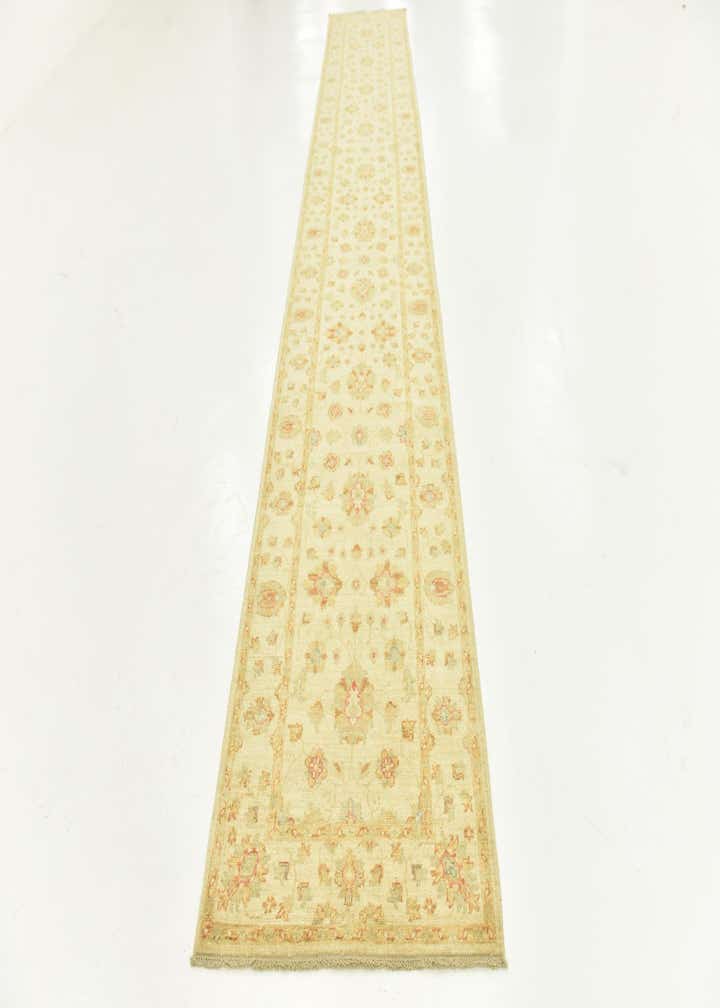 2' 9 x 16' 3 Hand Knotted Peshawar Ziegler Runner Rug