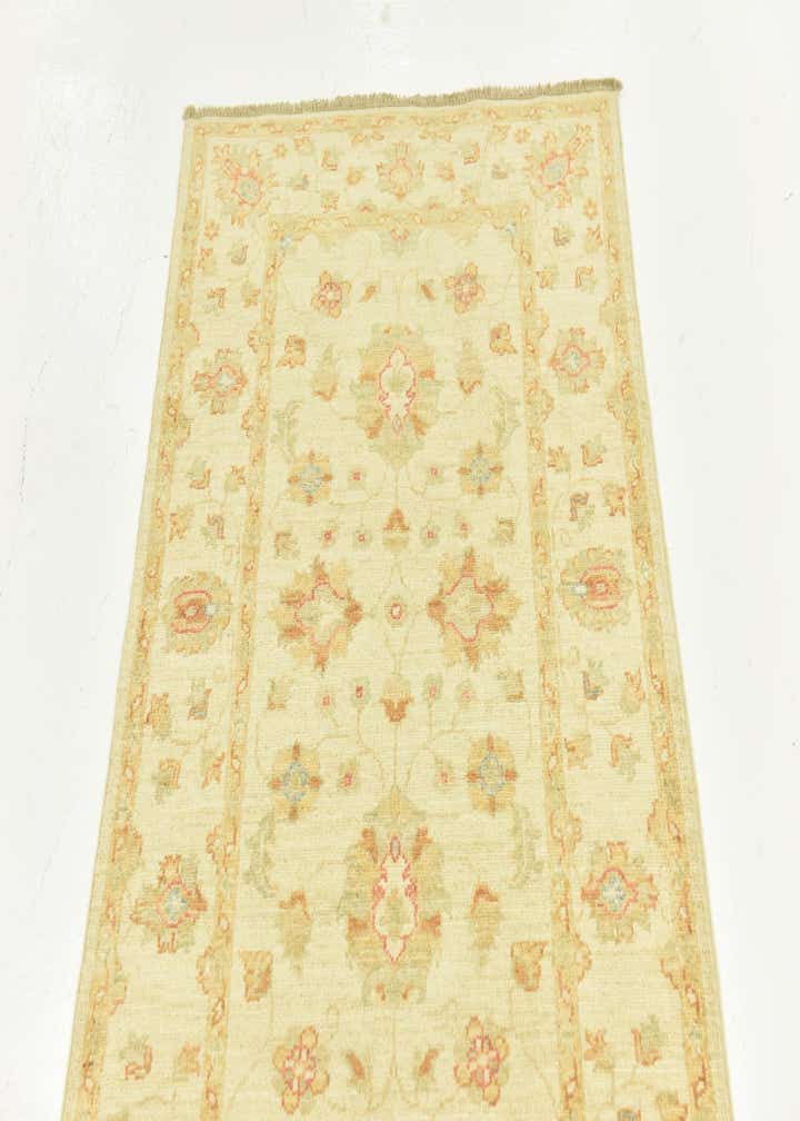 2' 9 x 16' 3 Hand Knotted Peshawar Ziegler Runner Rug