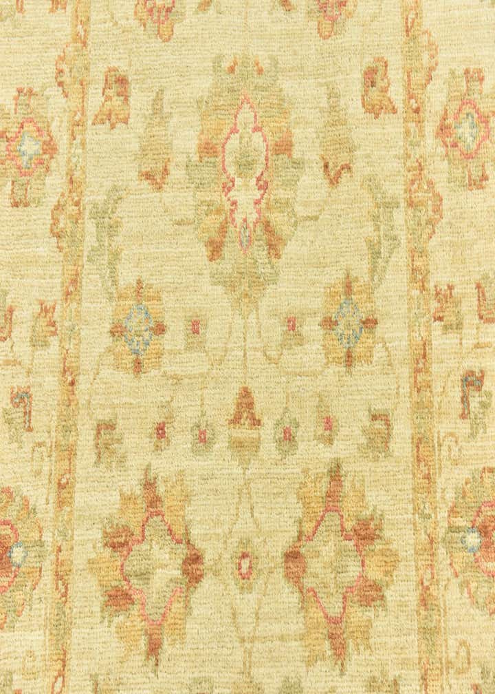 2' 9 x 16' 3 Hand Knotted Peshawar Ziegler Runner Rug