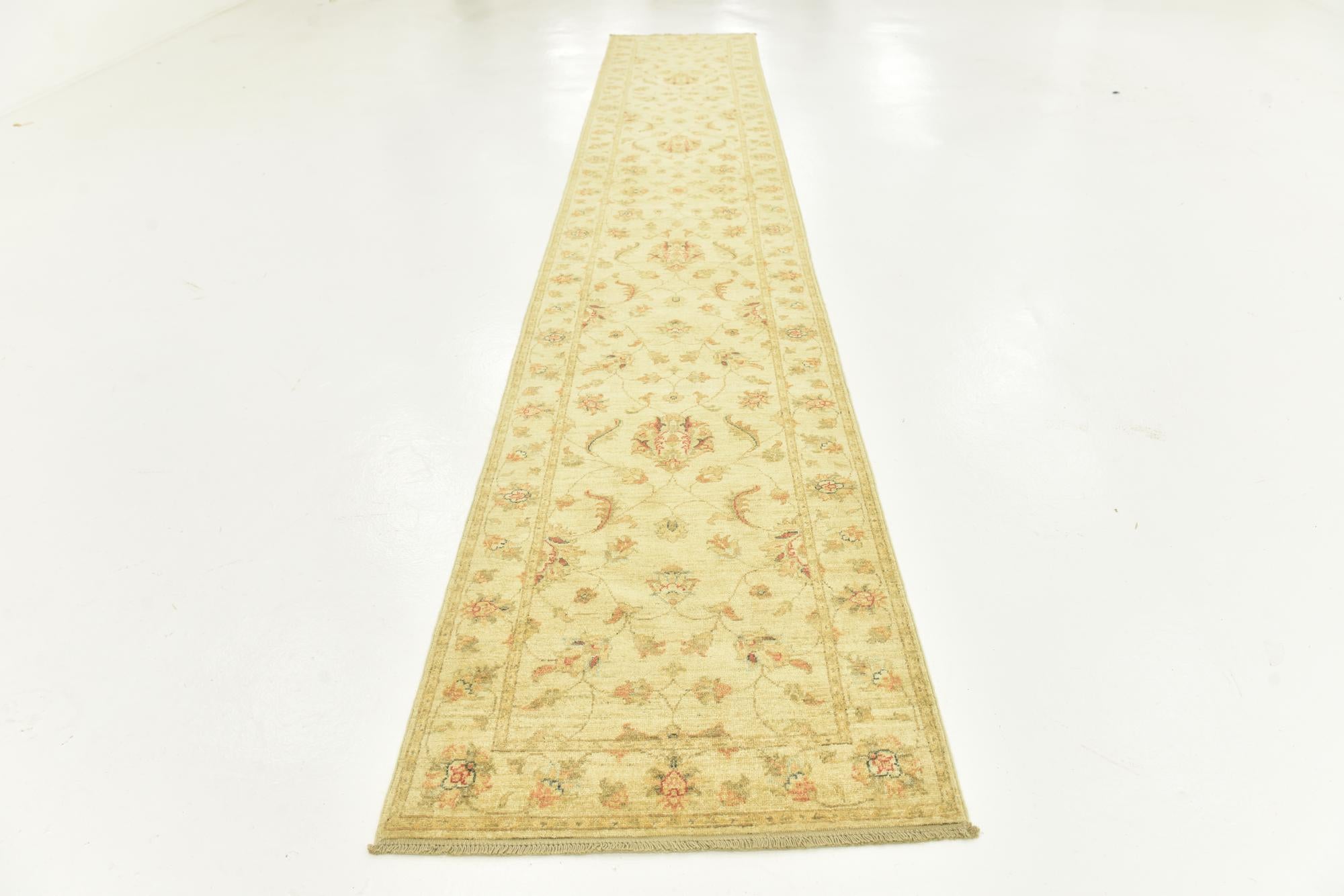 2' 8 x 16' Hand Knotted Peshawar Ziegler Runner Rug