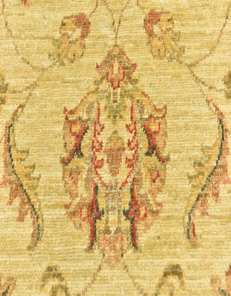 Detail image of 2' 8 x 16'  Hand Knotted Peshawar Ziegler Runner Rug