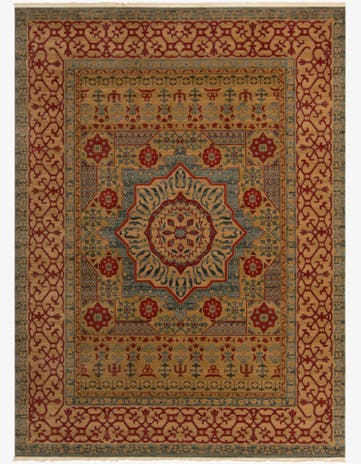 9' x 12' Amina Rug