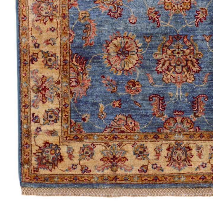 4' x 6' 1 Hand Knotted Ariana Ziegler Rug