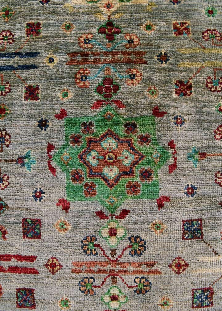 4' x 6' Hand Knotted Ariana Ziegler Rug