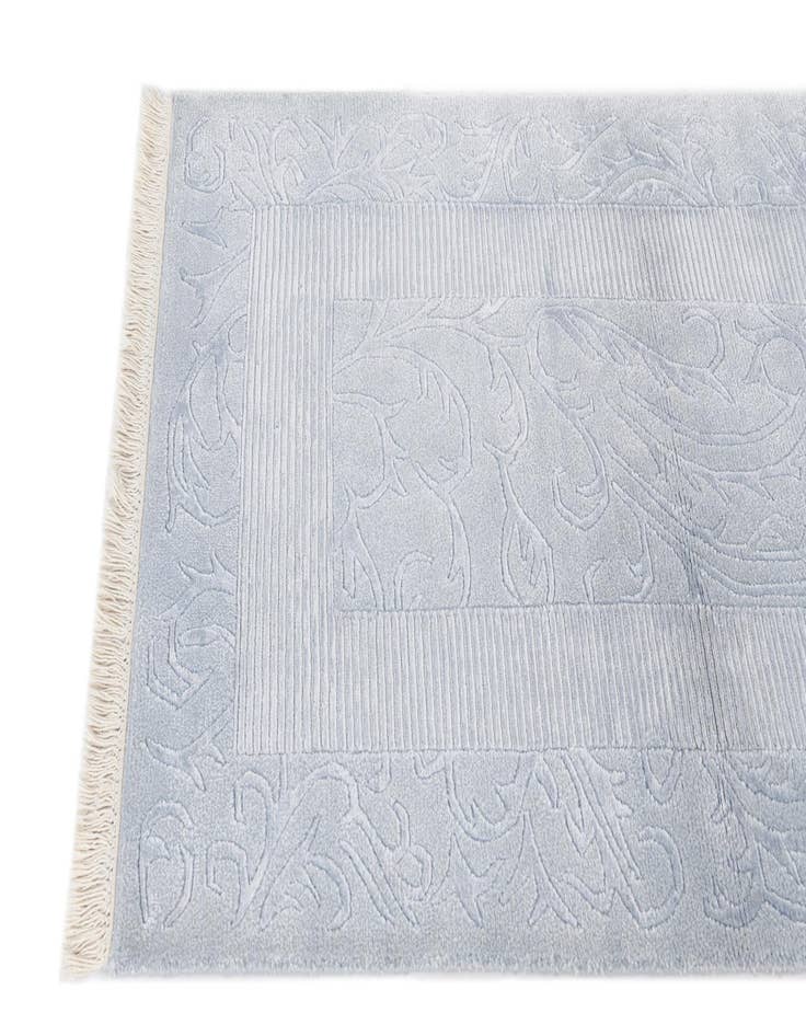 Detail image of 2' 9 x 5' 2  Hand Knotted Darya Wool Rug