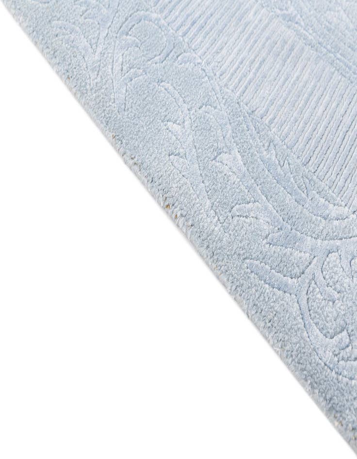 Detail image of 2' 7 x 5'  Hand Knotted Darya Wool Rug