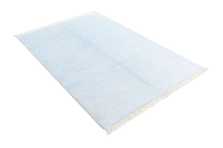 3' 11 x 5' 11 Darya Rug