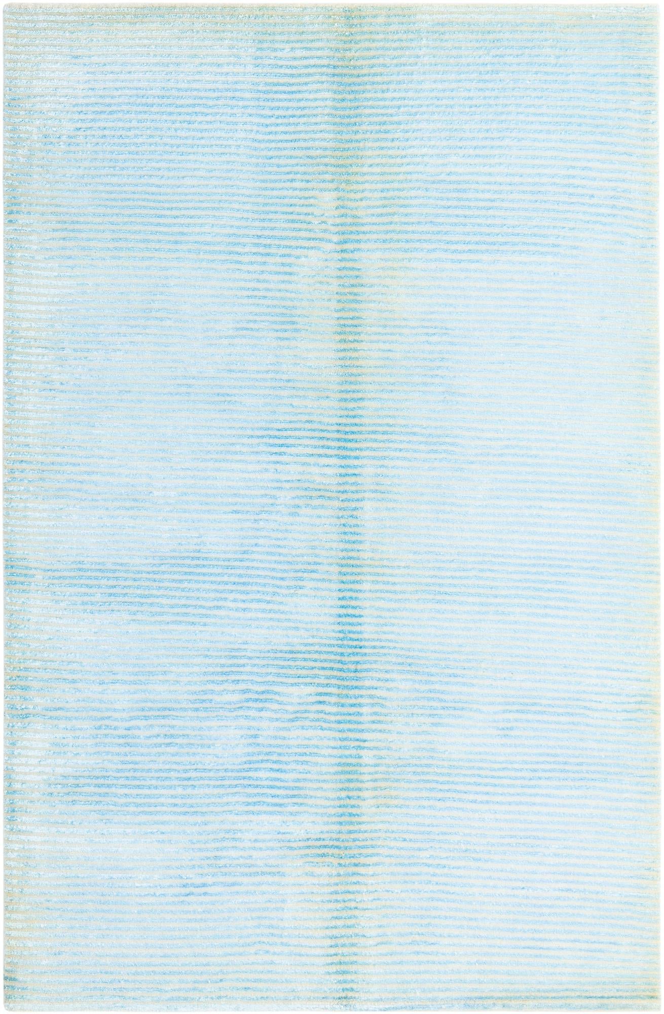 3' 11 x 5' 11 Darya Rug