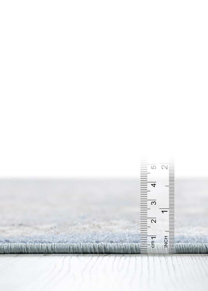 2' x 3' Kamala Washable Rug