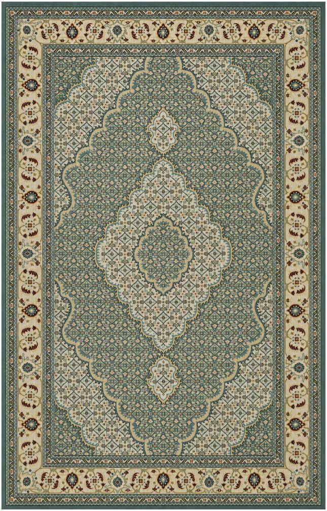 5' 3 x 8' Nain Design Rug