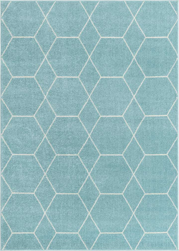 4' x 6' Trellis Frieze Rug