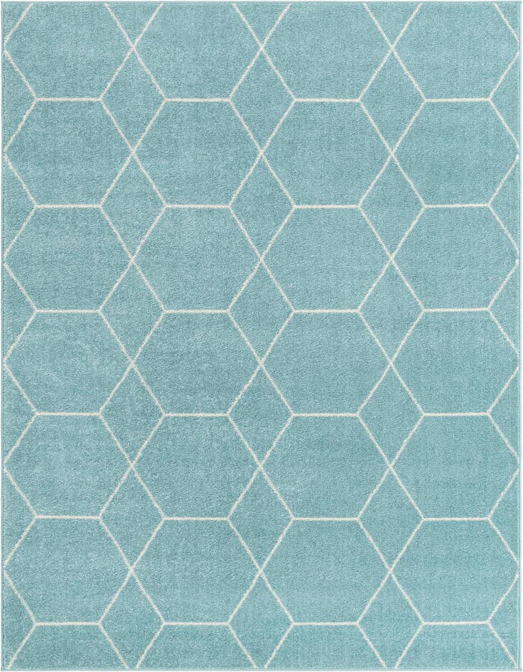 Detail image of 4' x 6' Trellis Frieze Rug